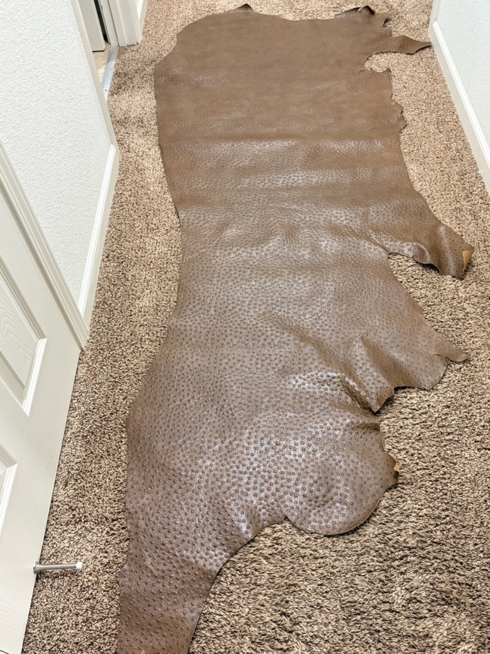 Brown Textured Leather Hide